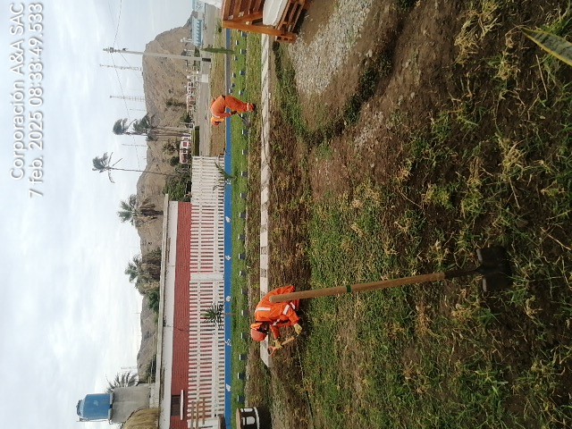 Diseño Paisajístico