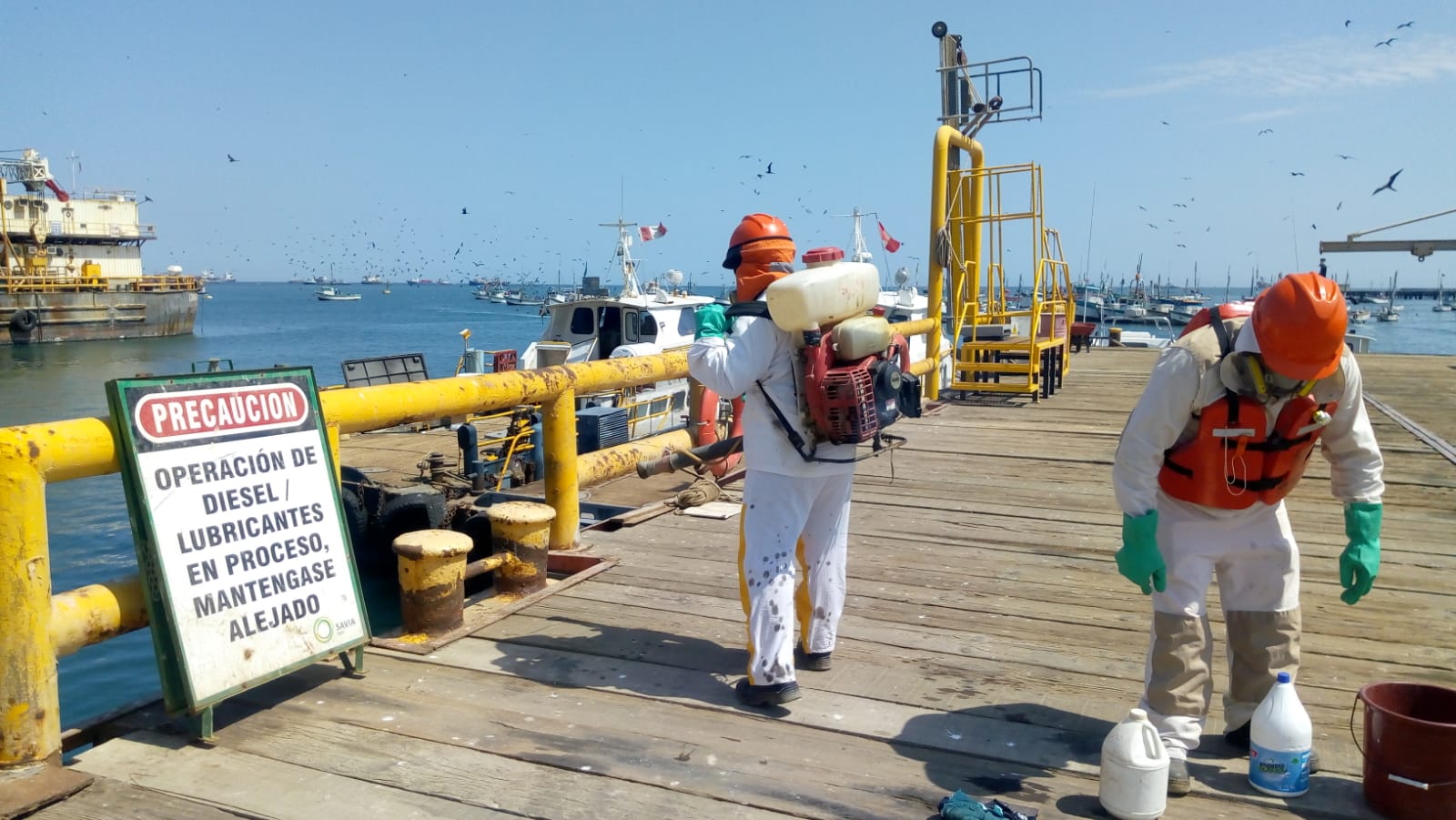 Fumigación y Desinfección